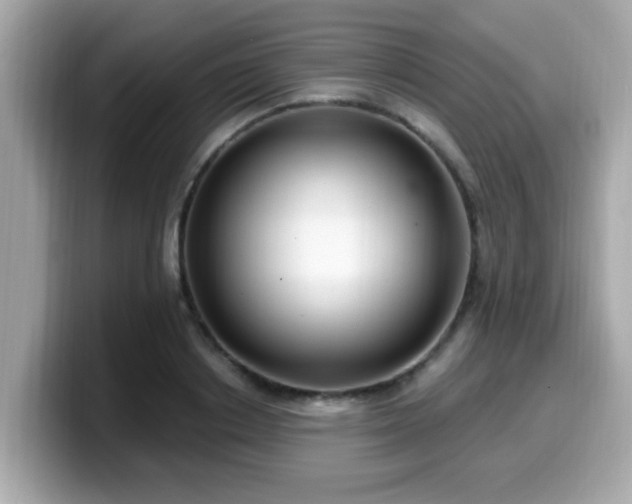 X0000099560842200805231511