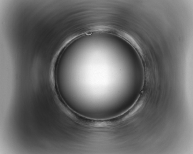 X0000099560843200805231511