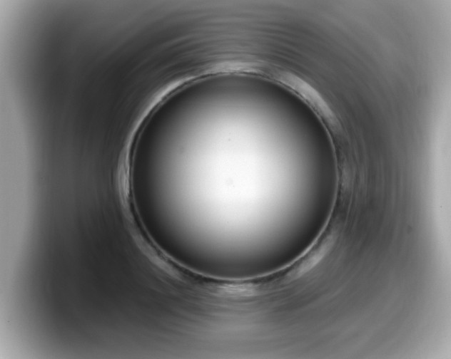 X0000099560844200805231511