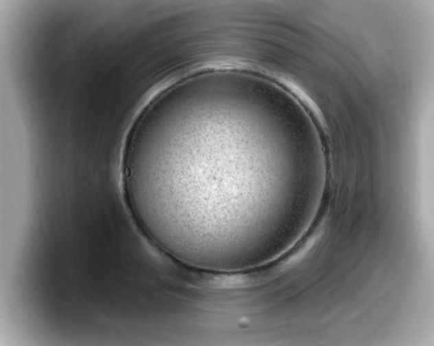 X0000099560845200805231511