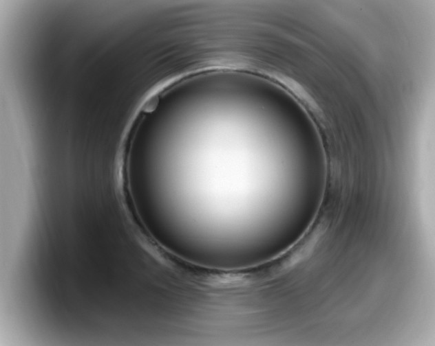 X0000099560846200805231511