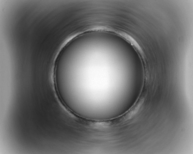 X0000099560847200805231511