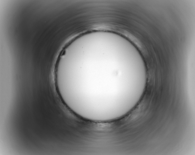 X0000099560848200805231511