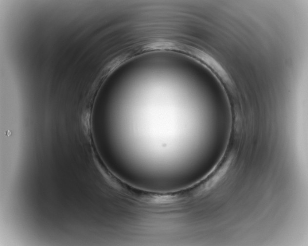 X0000099560849200805231511