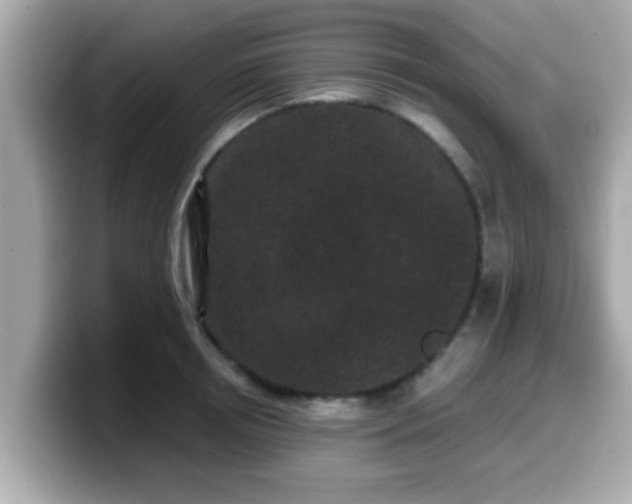 X0000099560850200805231511