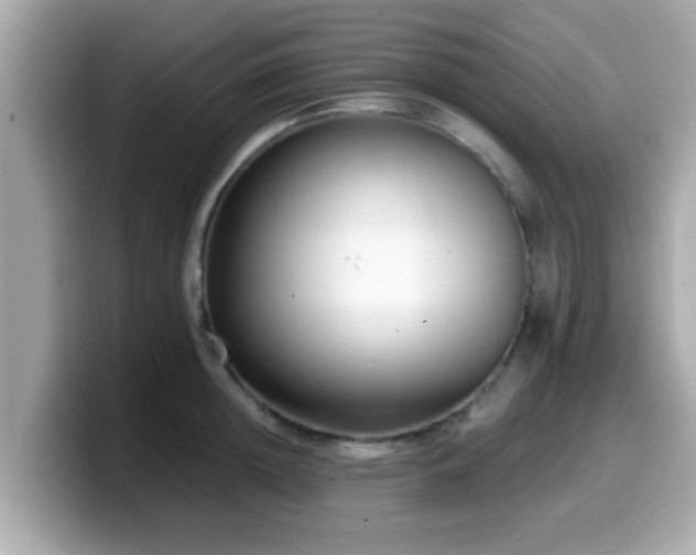 X0000099560852200805231511