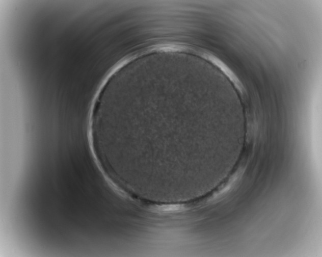 X0000099560853200805231511