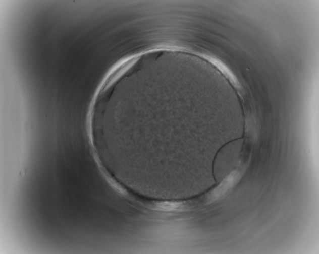 X0000099560854200805231511