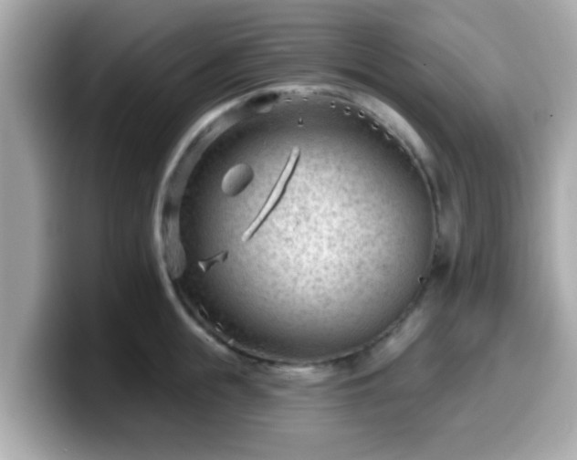 X0000099560855200805231511