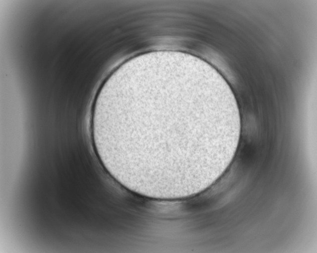 X0000099560856200805231511