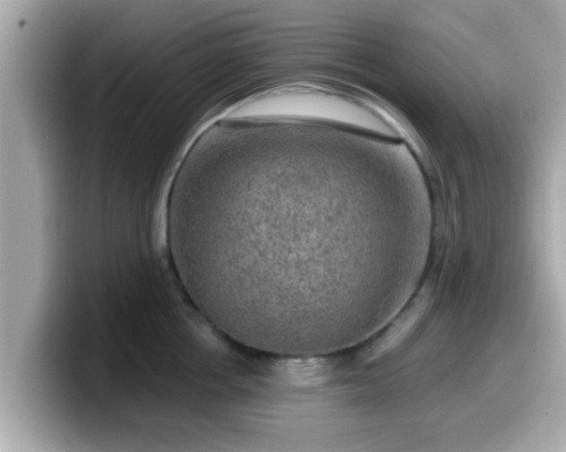 X0000099560858200805231511