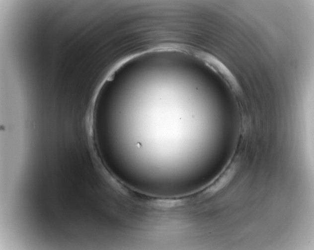 X0000099560860200805231511