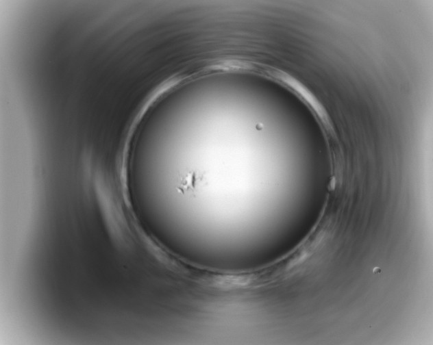 X0000099560861200805231511