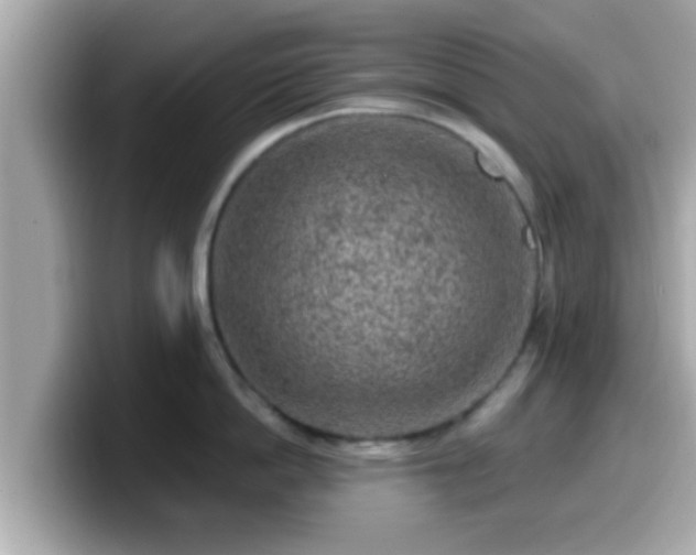 X0000099560862200805231511