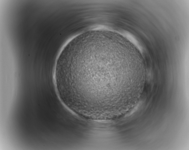 X0000099560863200805231511