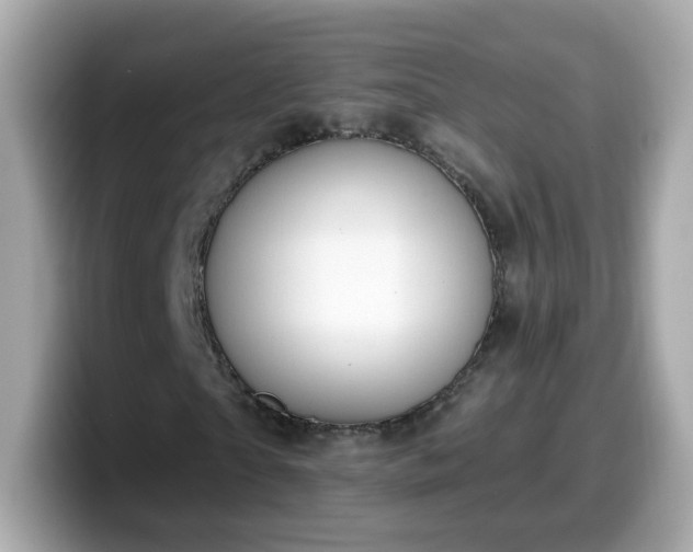 X0000099560865200805231510