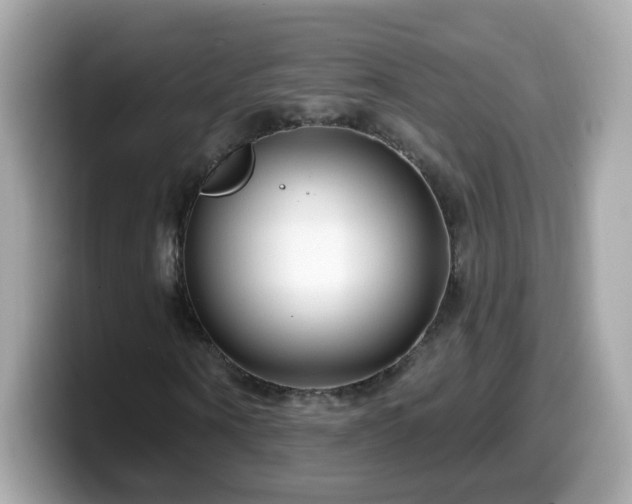 X0000099560866200805231510