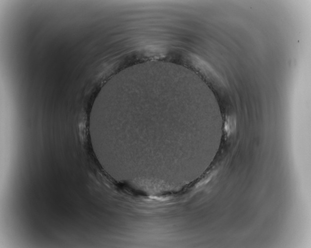 X0000099560867200805231510