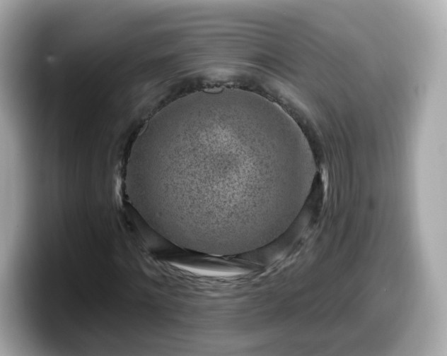 X0000099560868200805231510