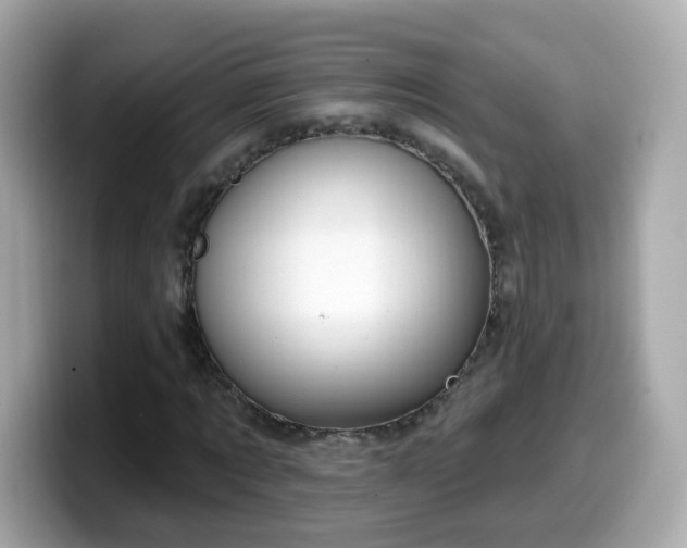 X0000099560869200805231510