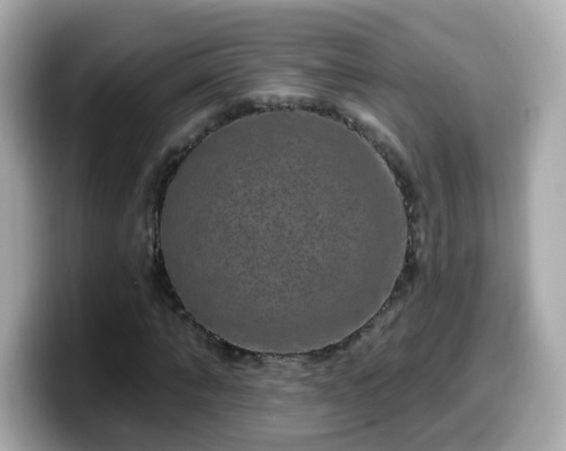 X0000099560870200805231510