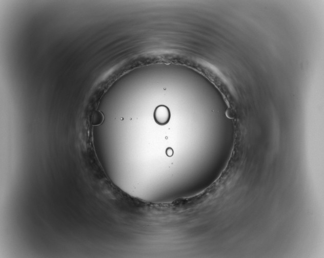 X0000099560871200805231510