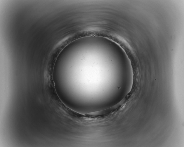 X0000099560872200805231510