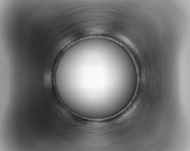 X0000099560873200805231510