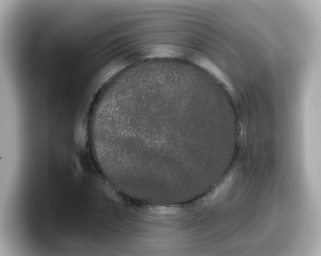 X0000099560874200805231510