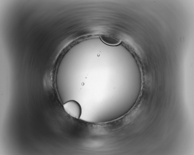 X0000099560875200805231510