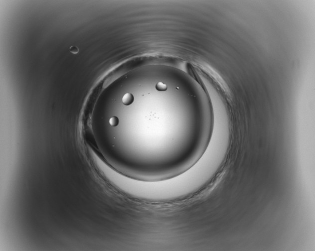 X0000099560876200805231510