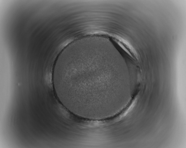 X0000099560881200805231510