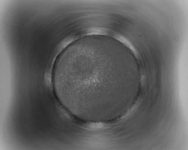 X0000099560882200805231510