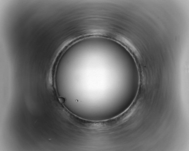 X0000099560883200805231510