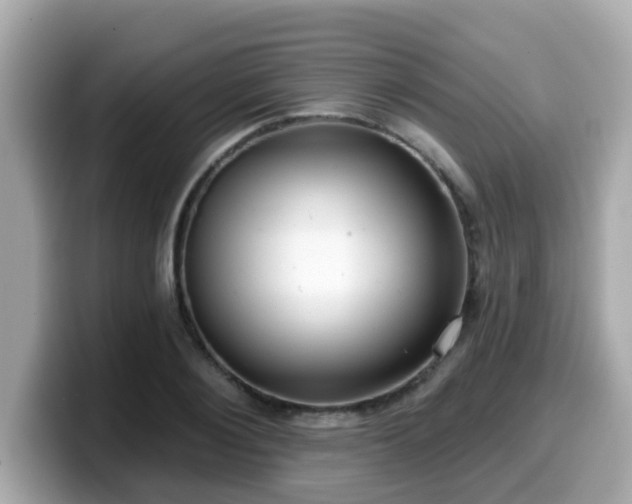 X0000099560884200805231510