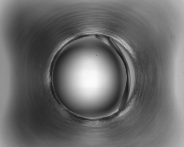 X0000099560885200805231510