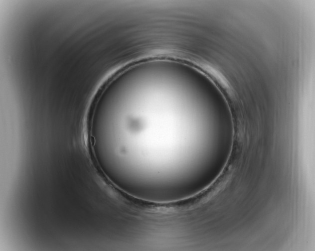 X0000099560888200805231510