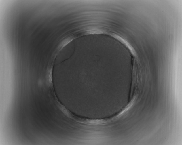 X0000099560889200805231510