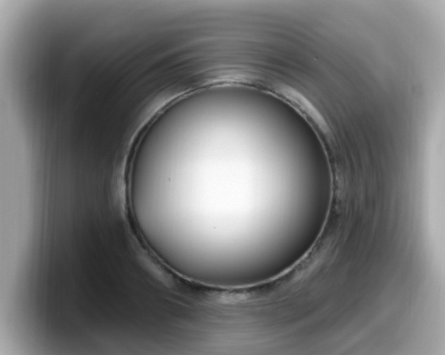 X0000099560890200805231510