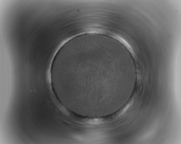 X0000099560891200805231510