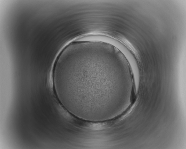 X0000099560892200805231510