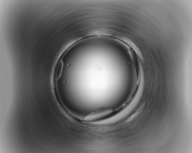 X0000099560893200805231510