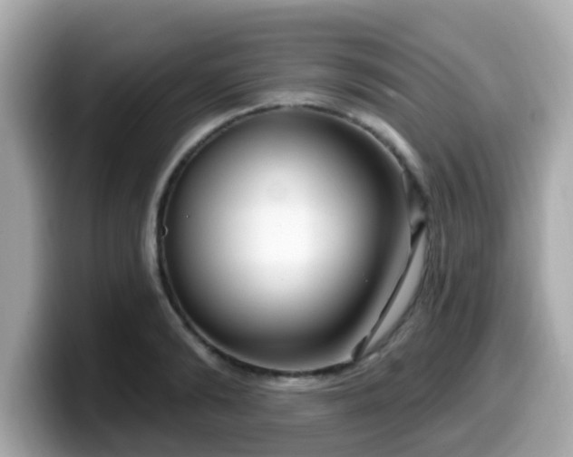 X0000099560894200805231510