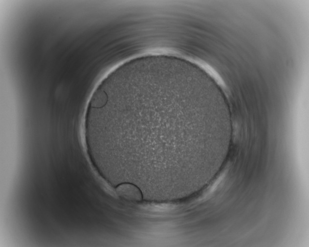 X0000099560895200805231510