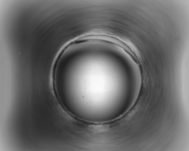 X0000099560896200805231510