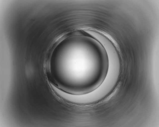 X0000099560897200805231510