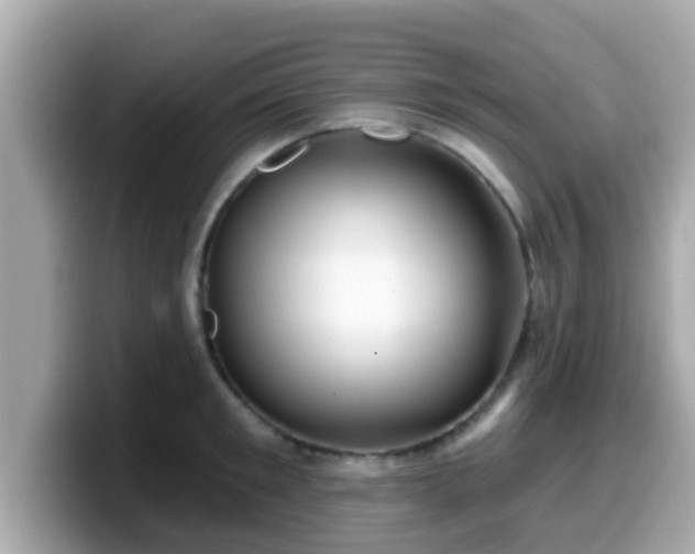 X0000099560901200805231510