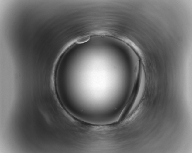 X0000099560902200805231510