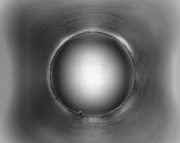 X0000099560903200805231510