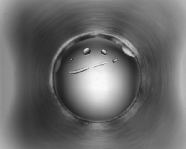 X0000099560904200805231510